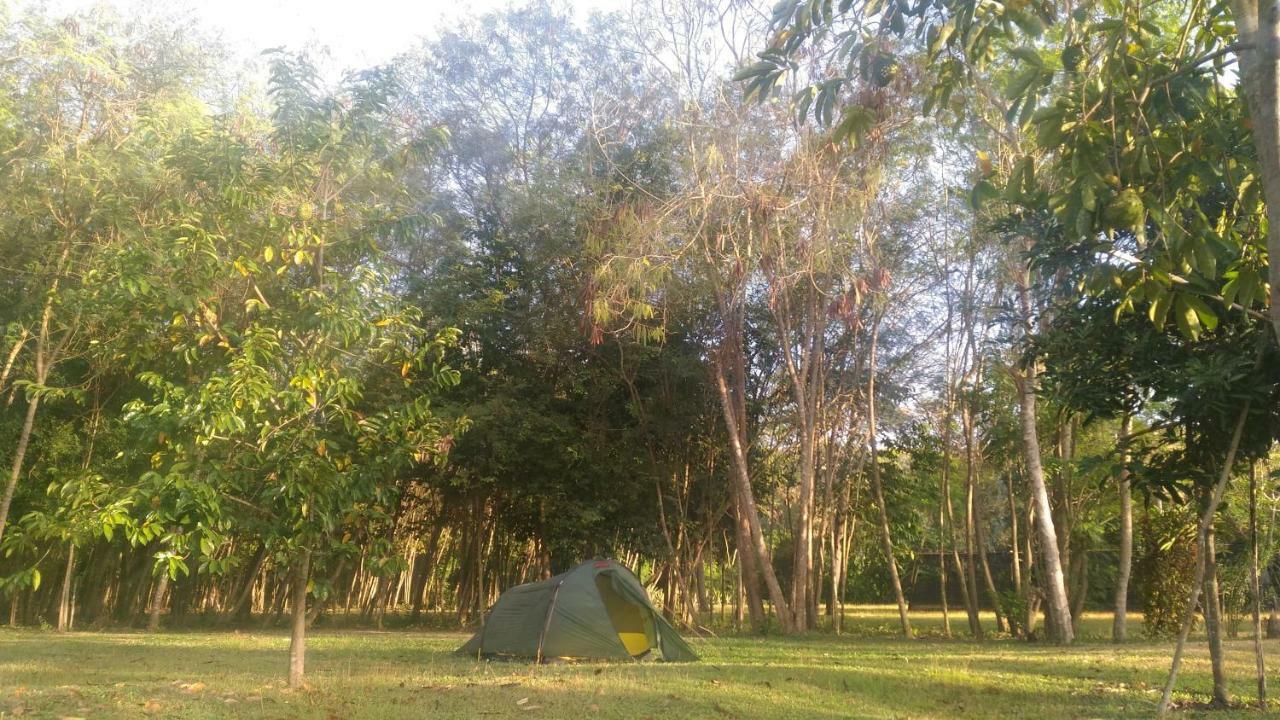 Pandang 4 Pohon - Les 4 Arbres B&B 외부 사진